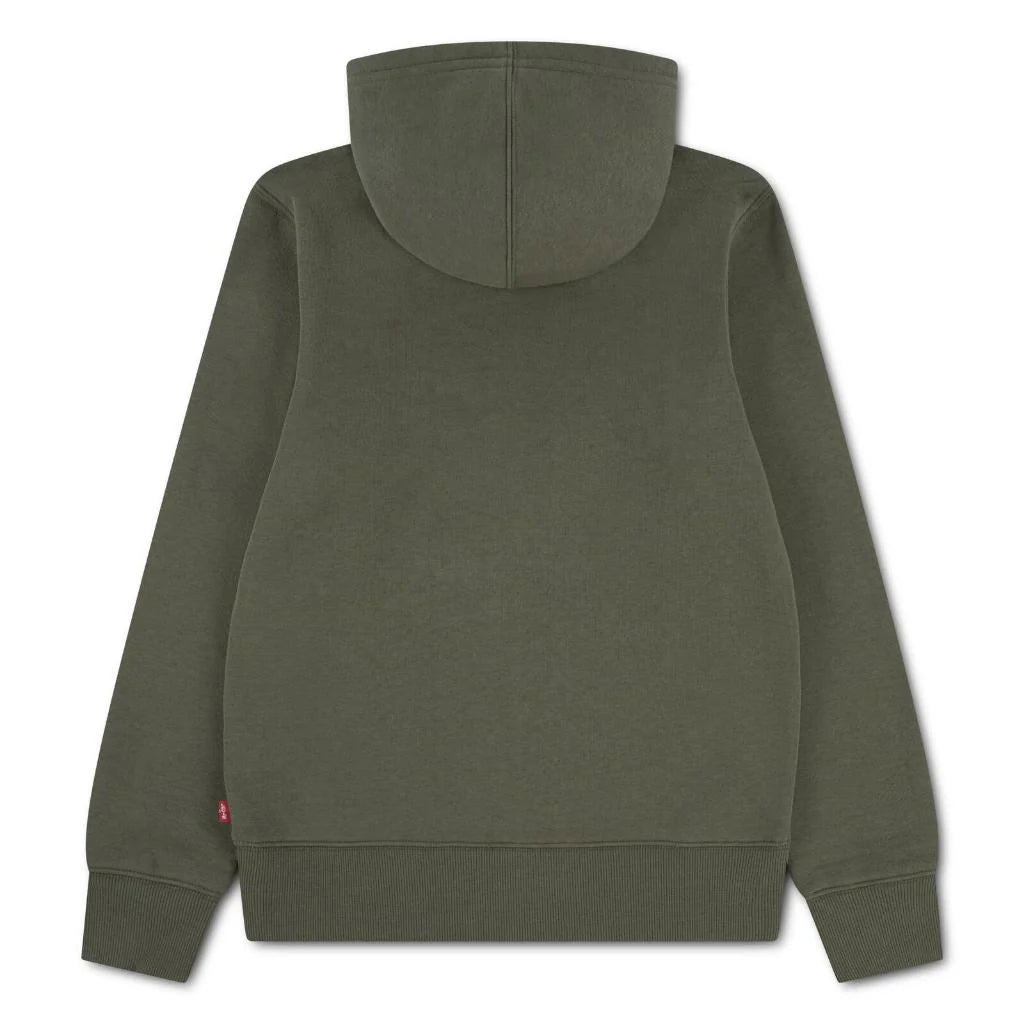 Olive night