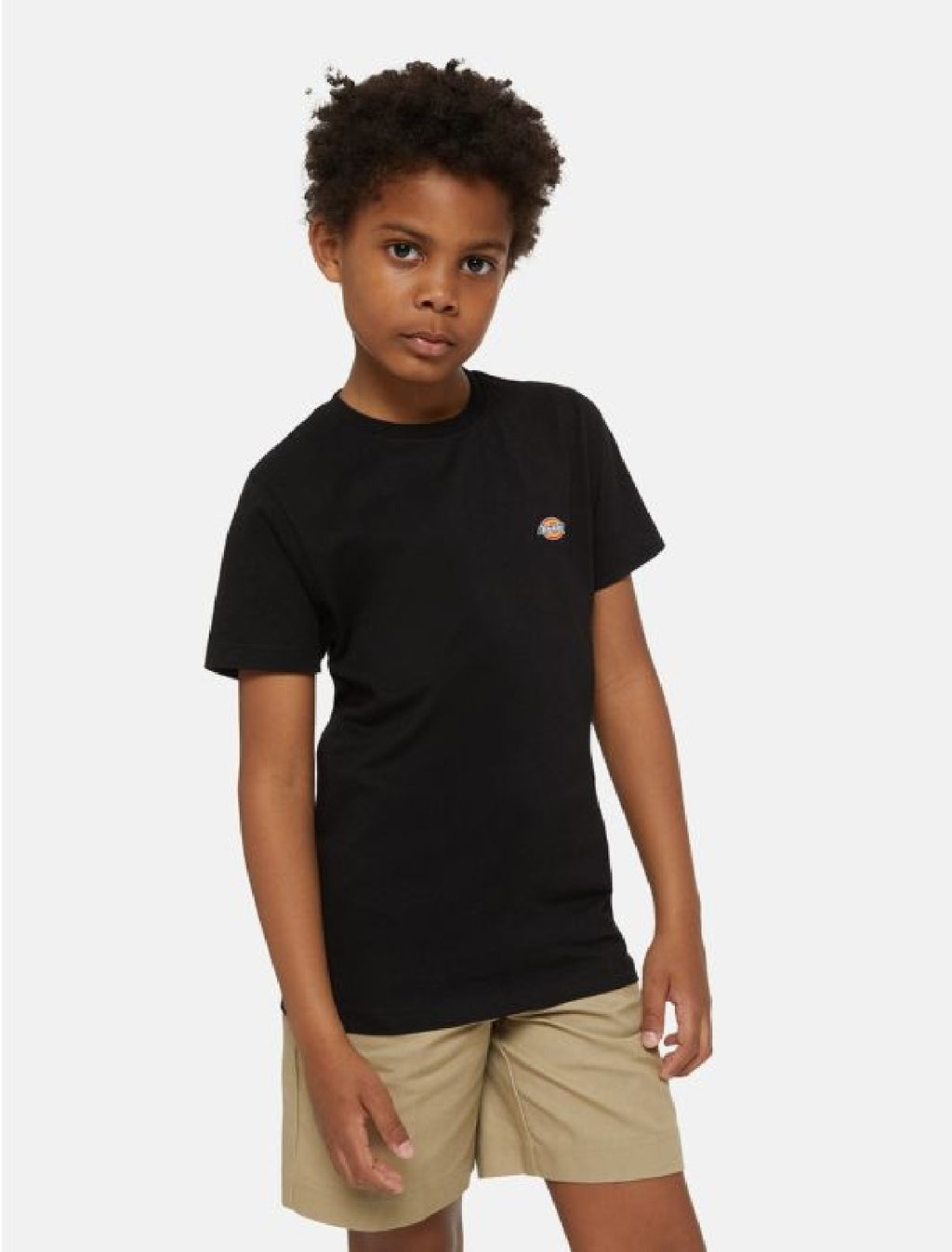 DICKIES T SHIRT MINI LOGO Black