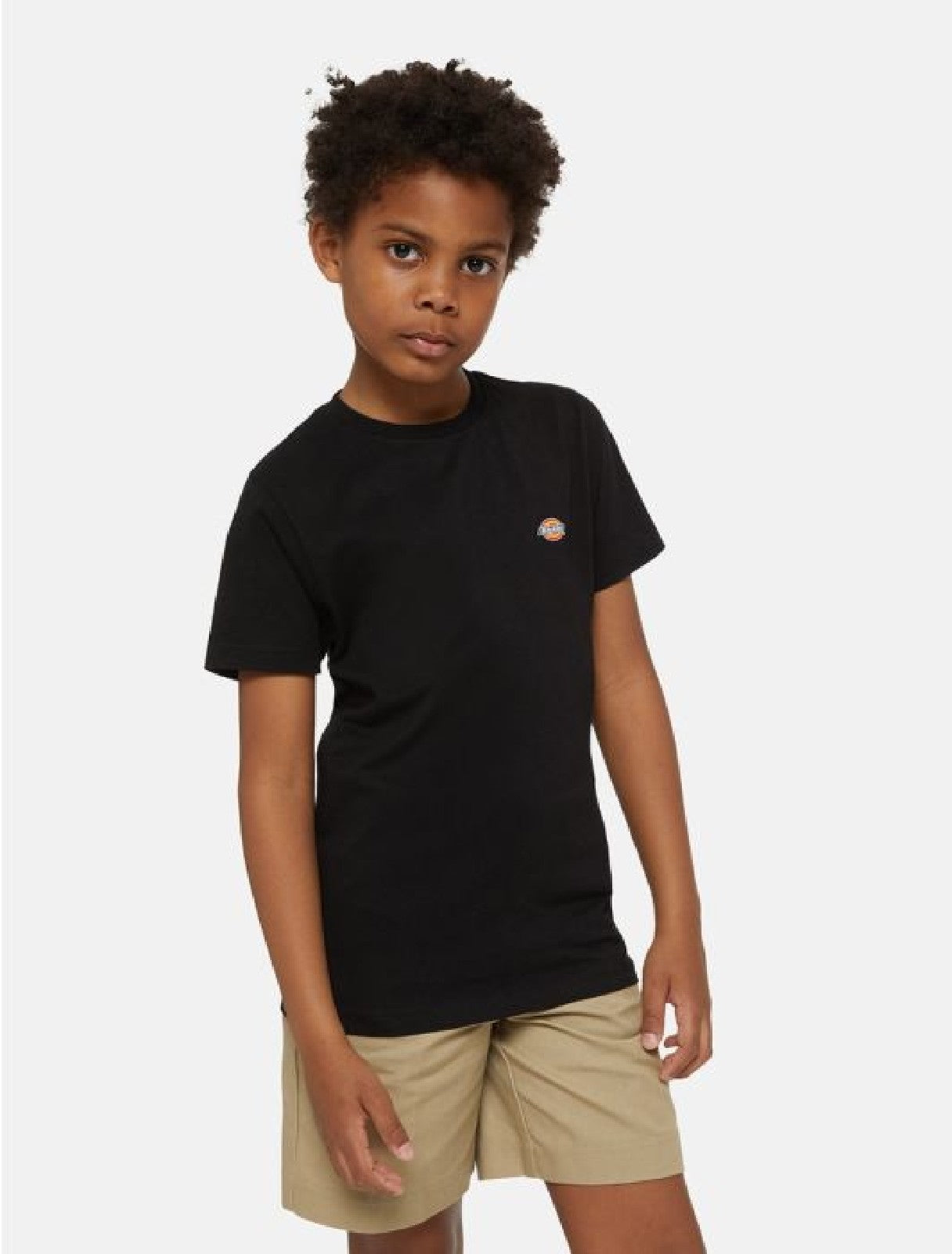 DICKIES T SHIRT MINI LOGO Black