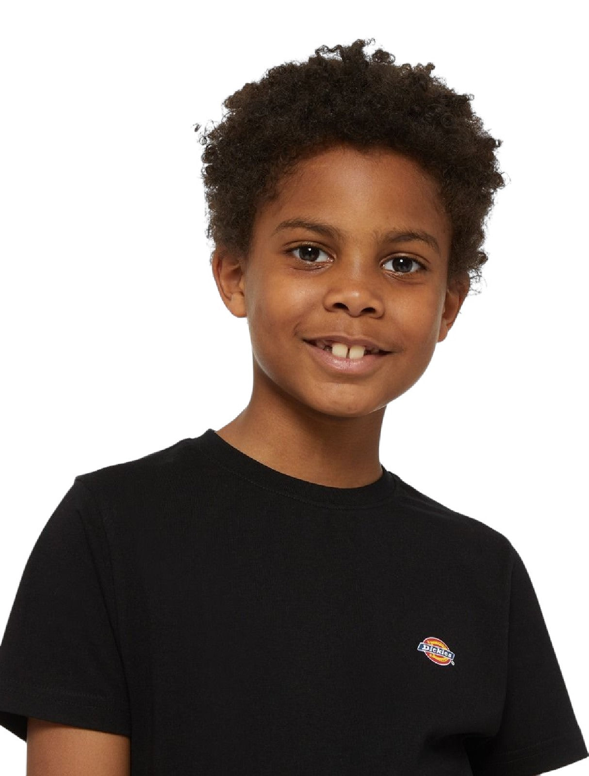 DICKIES T SHIRT MINI LOGO Black