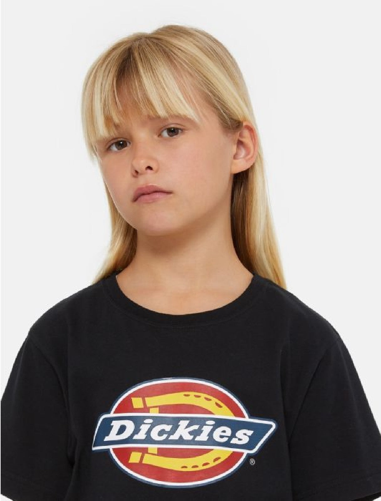 DICKIES T SHIRT BOX LOGO Black