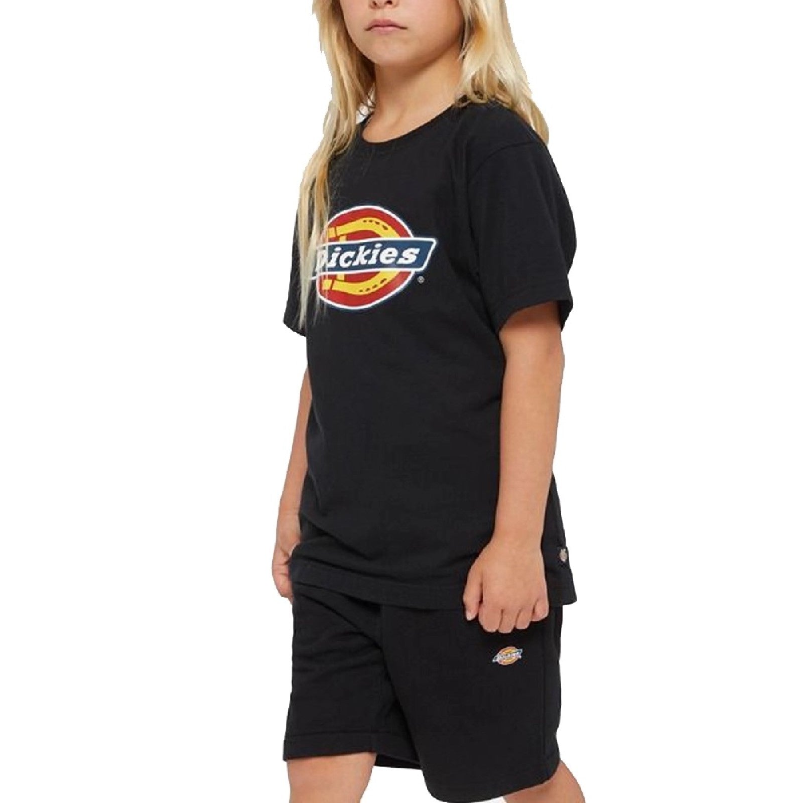 DICKIES T SHIRT BOX LOGO Black
