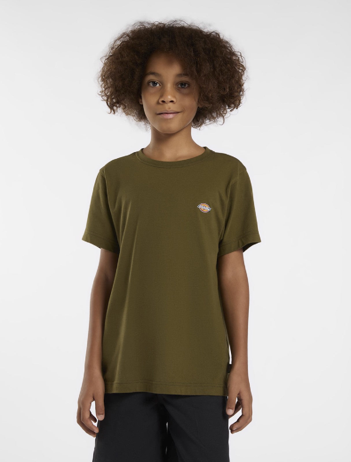 DICKIES T SHIRT MINI LOGO Green