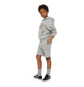 DICKIES YOUTH MAPLETON SWEATSHORT Grey