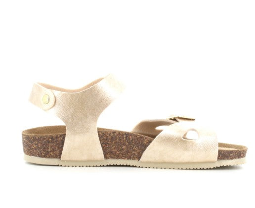 GOLDSTAR ORO White