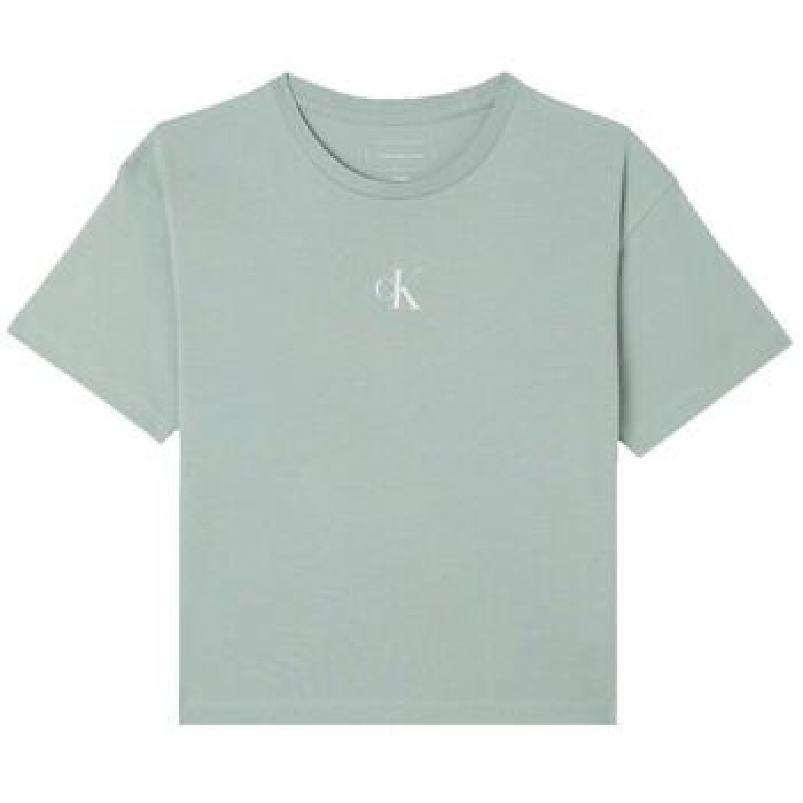 CALVINKLEIN T SHIRT KIDS Green