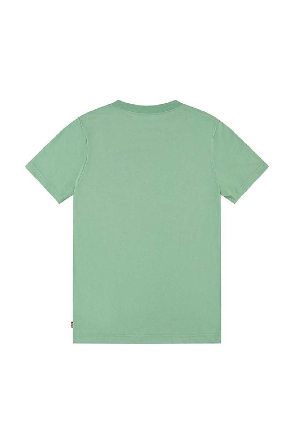 LEVI'S T SHIRT COTONE 100% Green