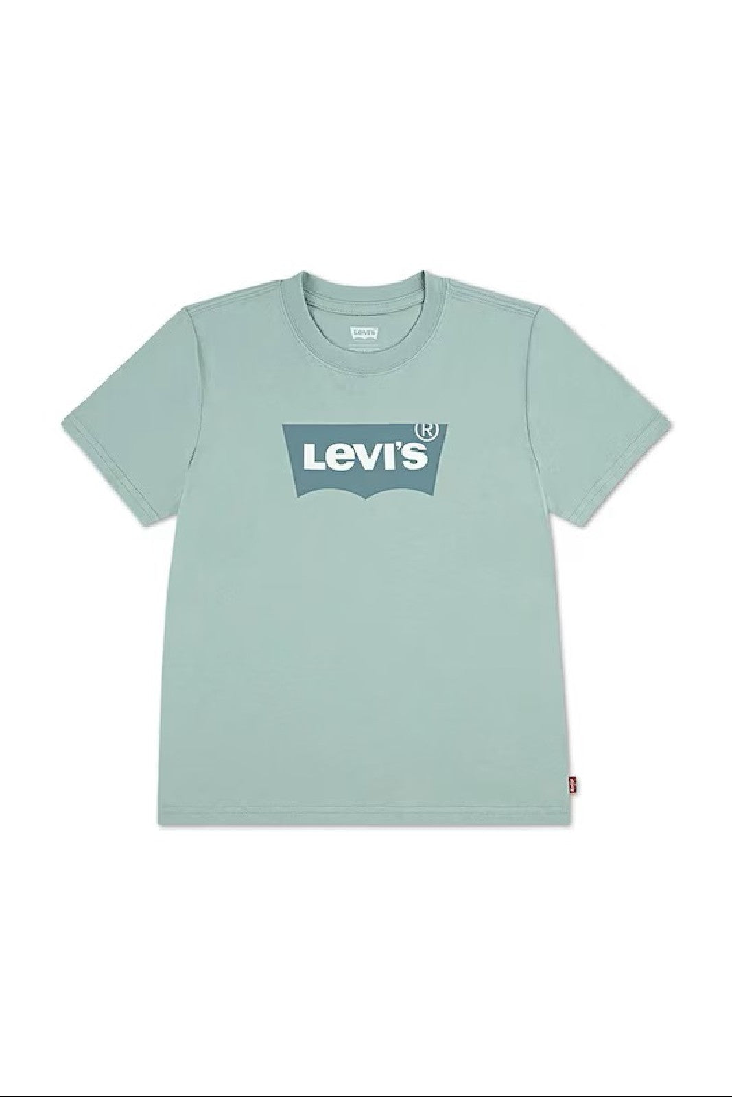 LEVI'S T SHIRT COTONE CAMEO 100% Green