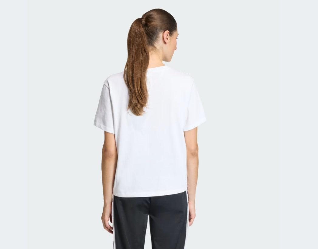Adidas T SHIRT TREFOIL White