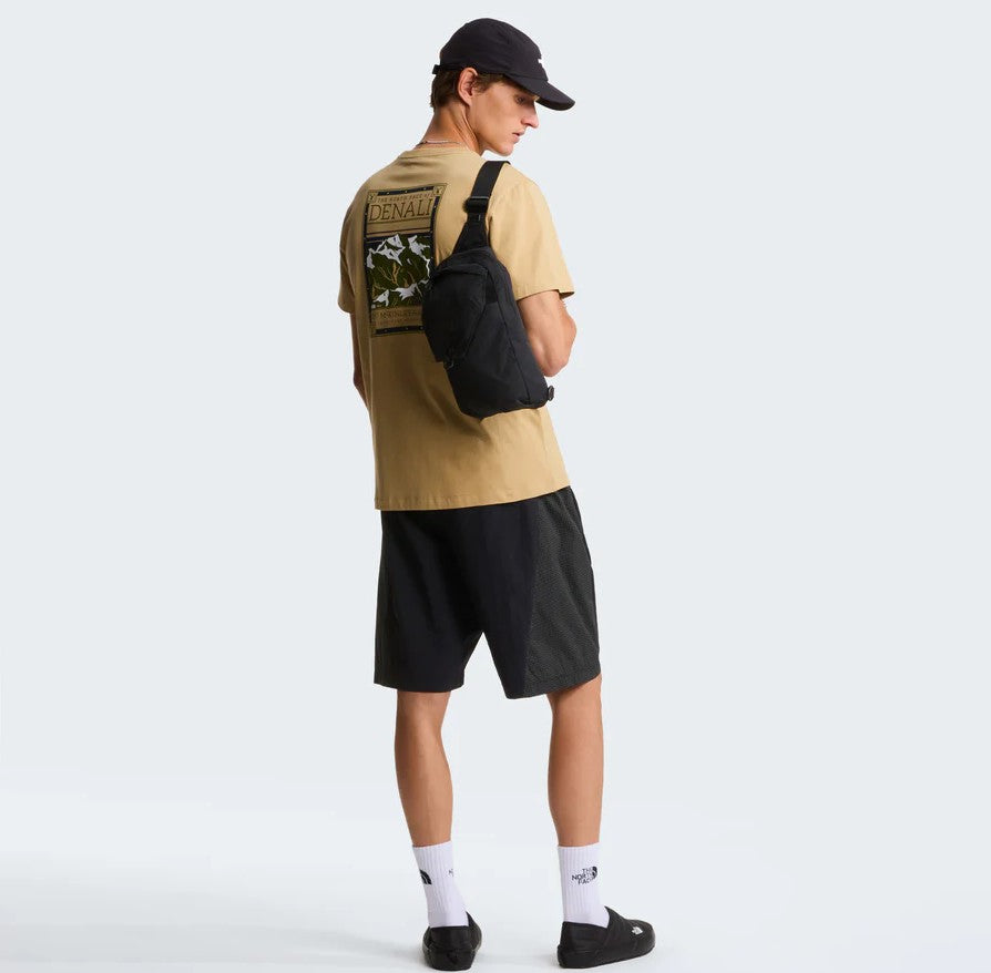 The North Face T SHIRT CLASSIC Beige