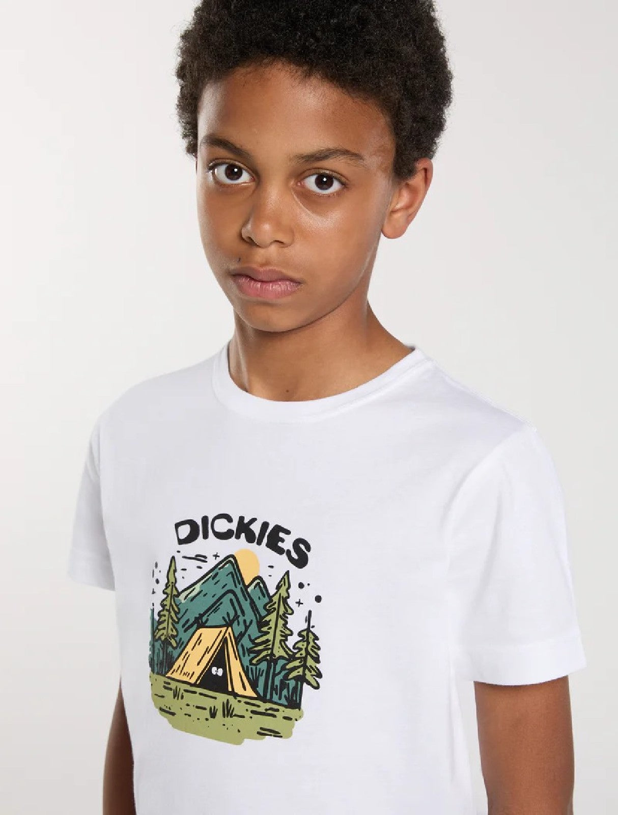 DICKIES T SHIRT LOGO White