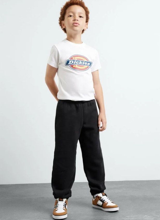 DICKIES T SHIRT BOX LOGO White