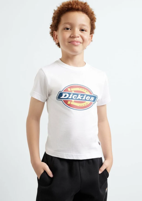 DICKIES T SHIRT BOX LOGO White